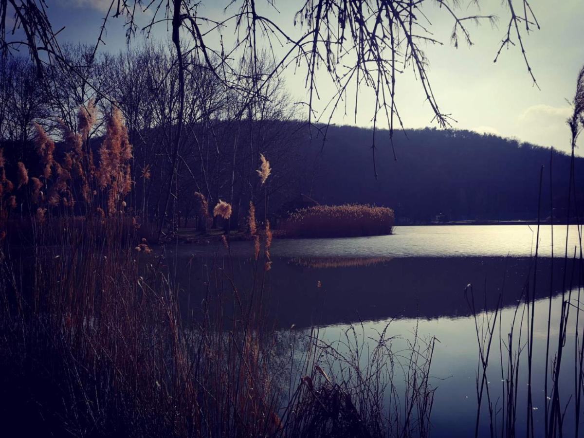 Varga Villa Orfű Buitenkant foto