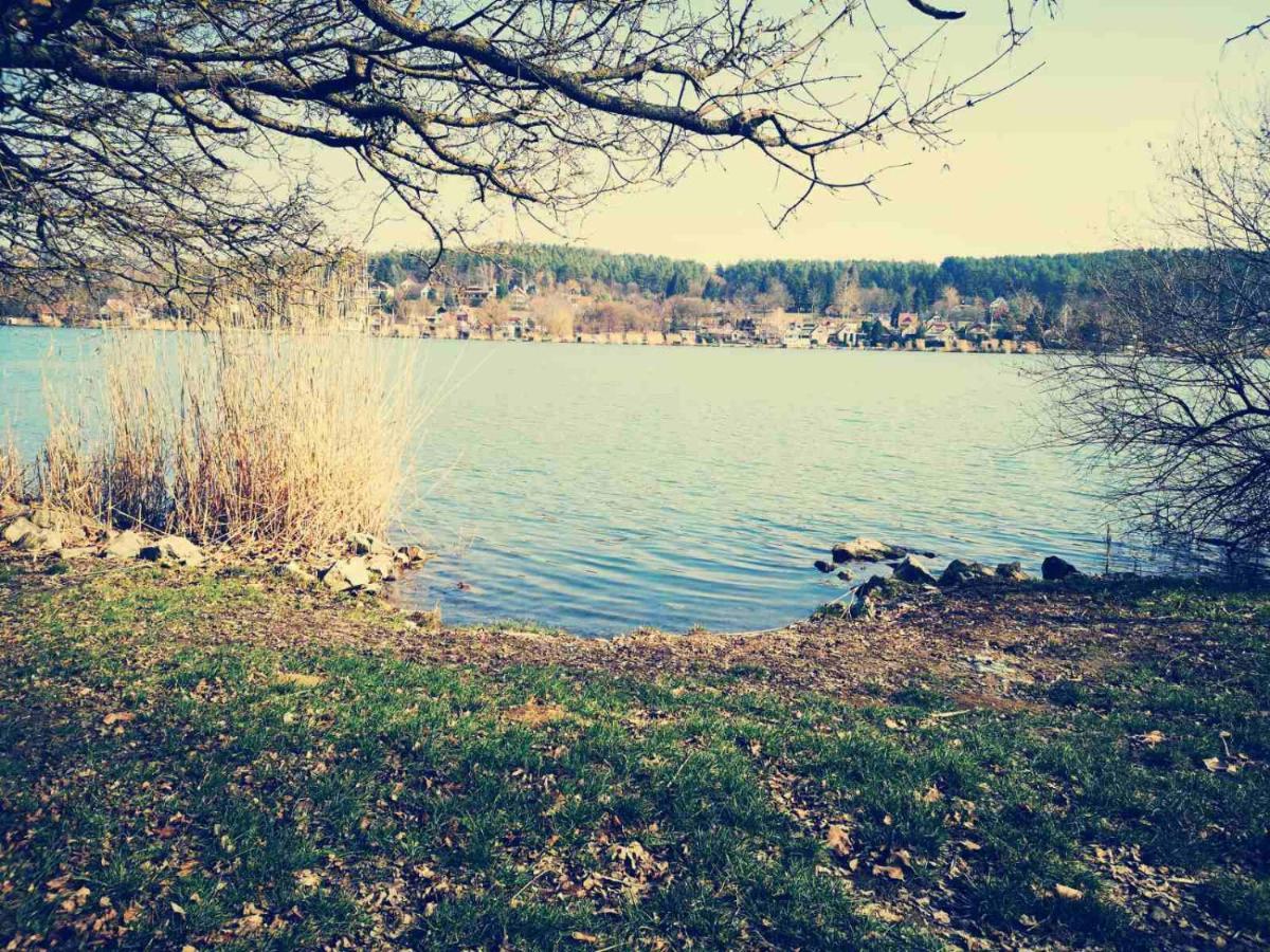 Varga Villa Orfű Buitenkant foto