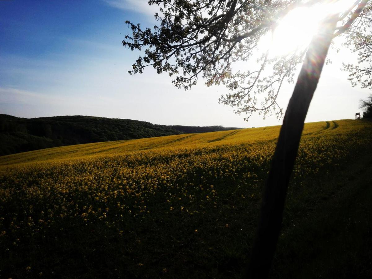 Varga Villa Orfű Buitenkant foto