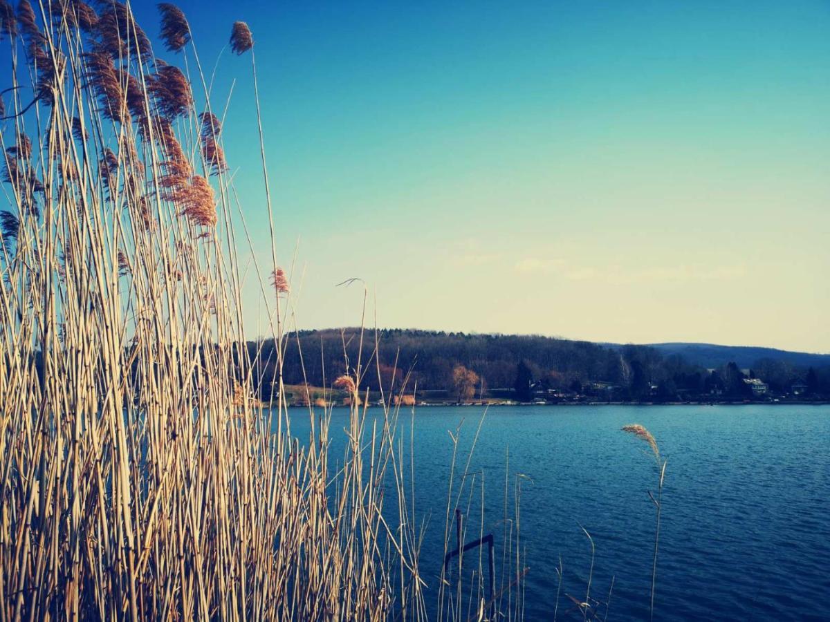 Varga Villa Orfű Buitenkant foto