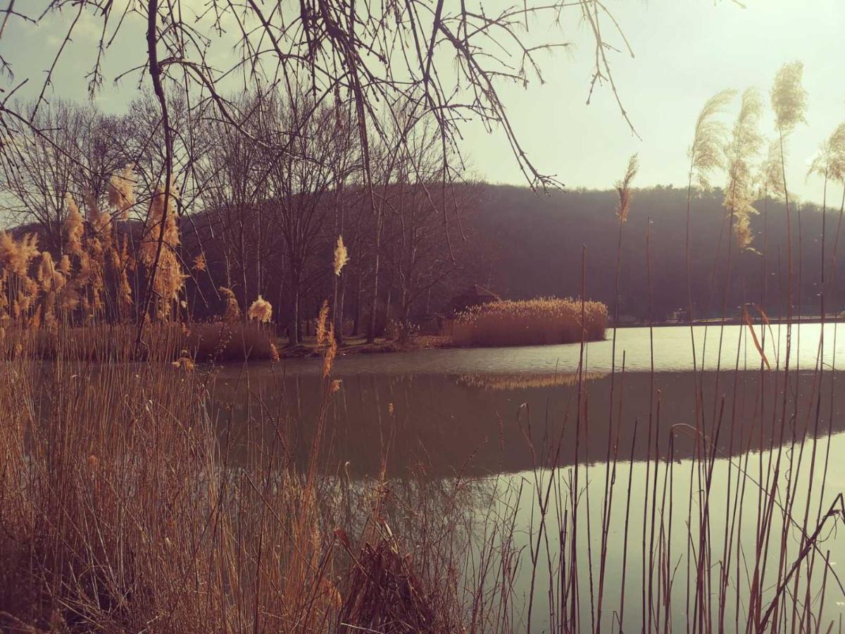 Varga Villa Orfű Buitenkant foto