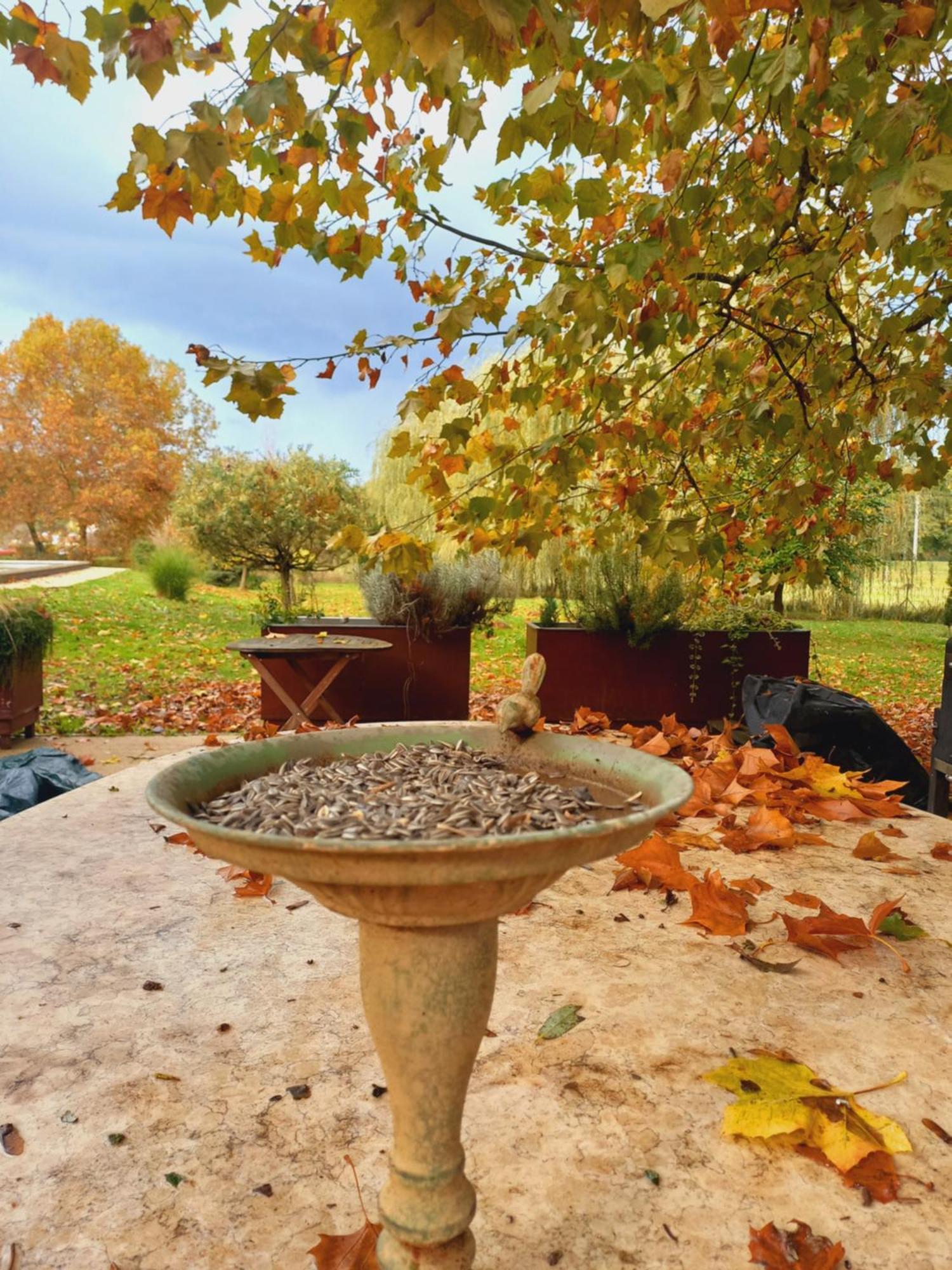 Varga Villa Orfű Buitenkant foto